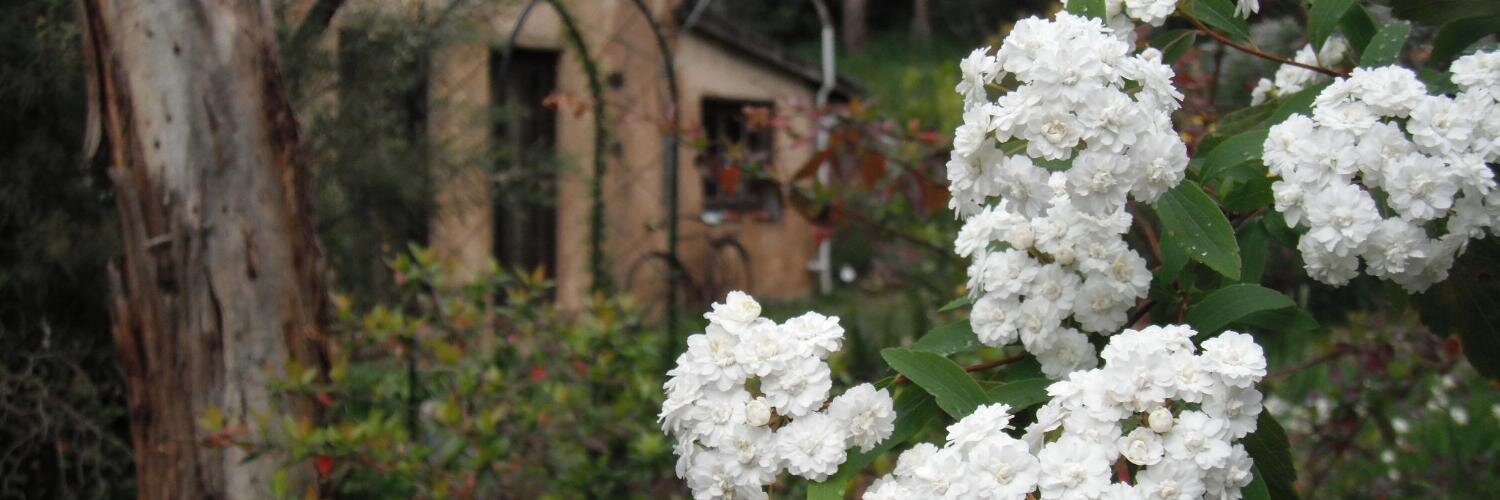 Mr. Twenty Twenty banner