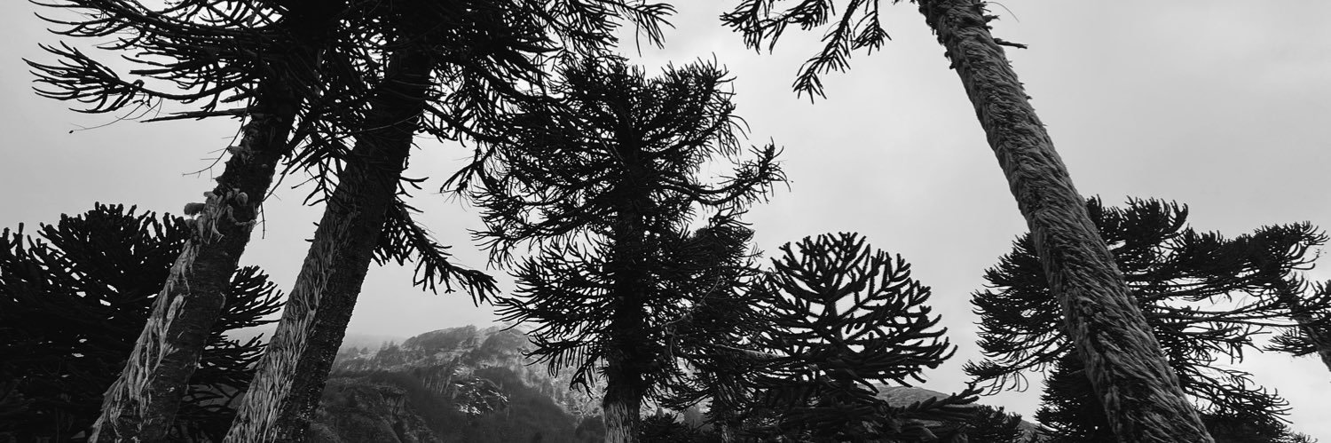 deliriodelez's profile banner image