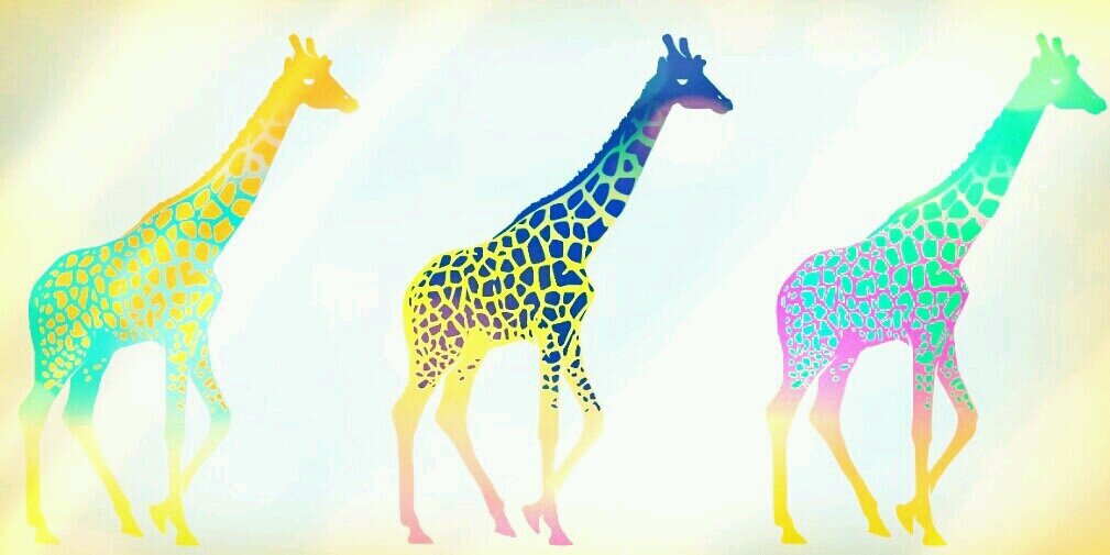 amazingamanda83's profile banner image