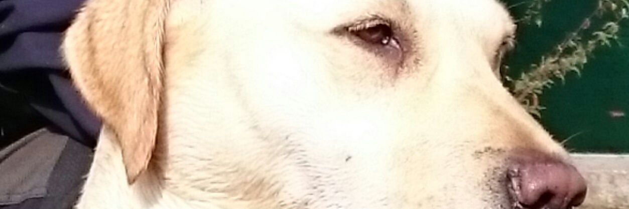 twobber's profile banner image
