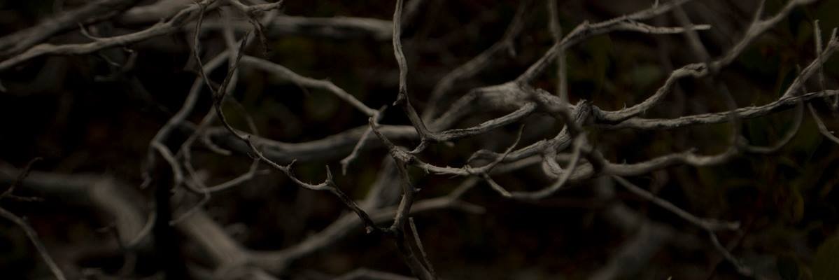 mirva's profile banner image