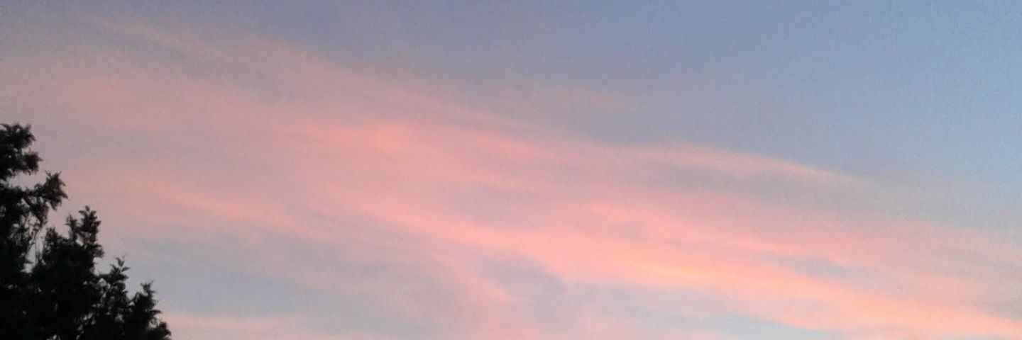 fatimateoOK's profile banner image