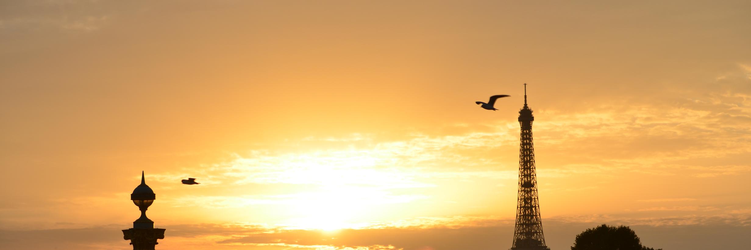 vikib's profile banner image