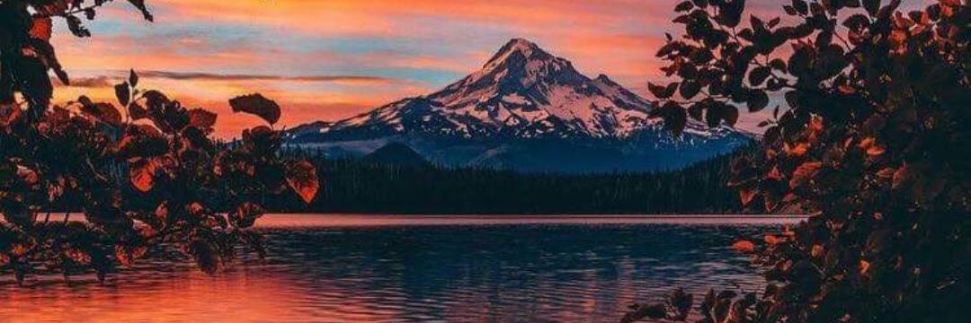 Milu0016's profile banner image