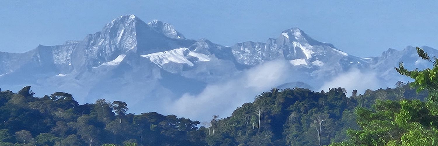 Diana Basto (ella/she) banner