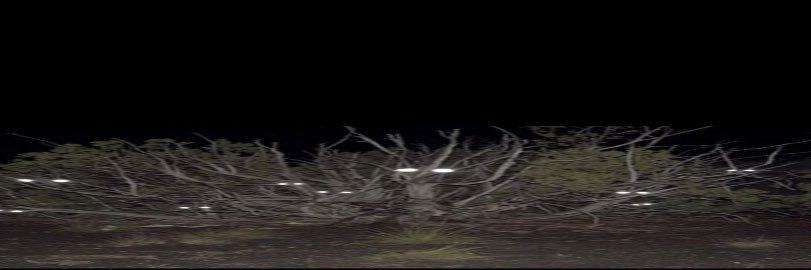 Isntgreed's profile banner image