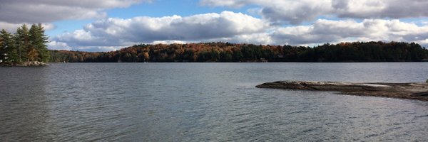 brechann Profile Banner