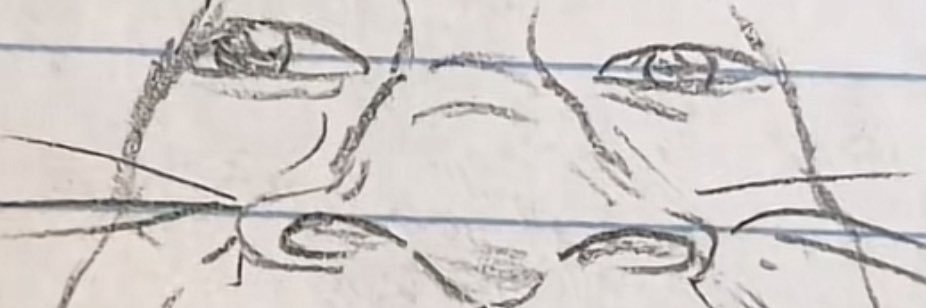 wumblet 🇵🇸 banner