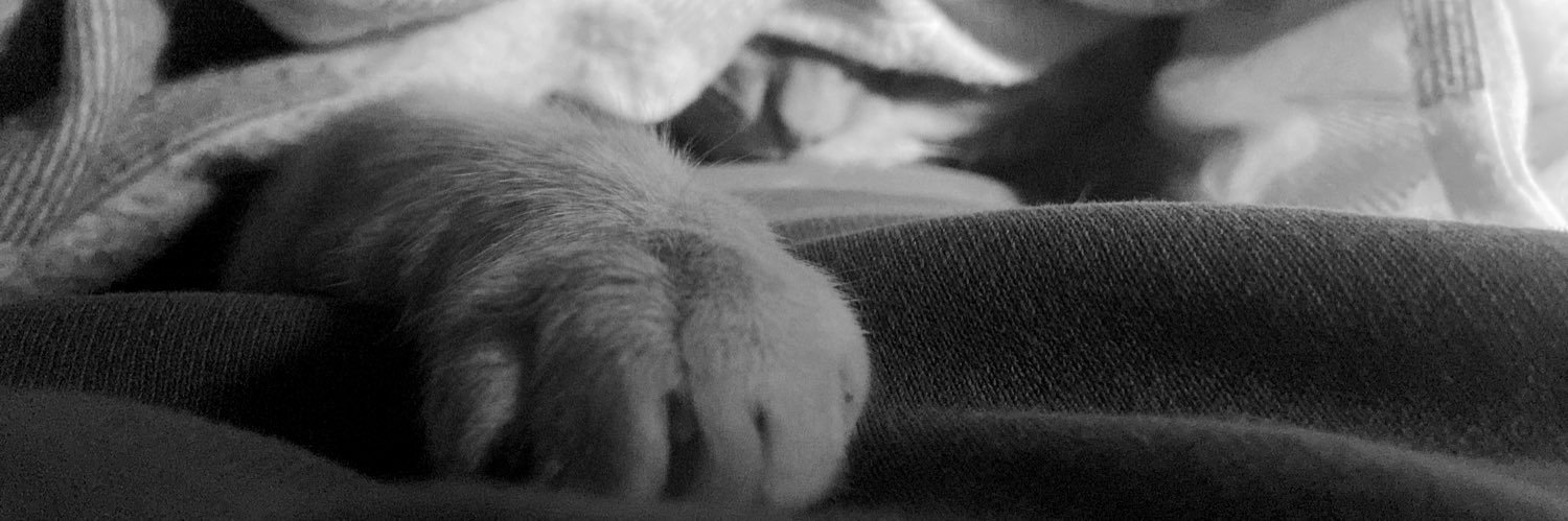 _beasp's profile banner image