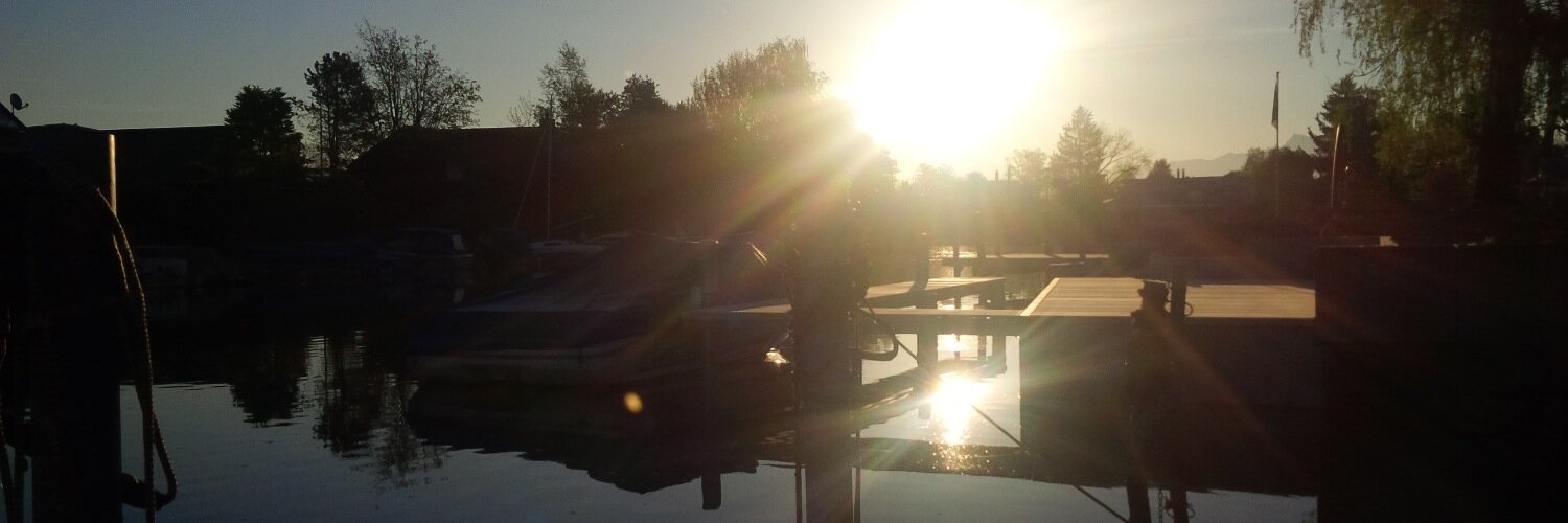 Sandra Bühler banner