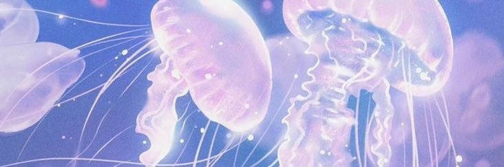 haileeza's profile banner image