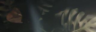 TericiA. 💭 banner