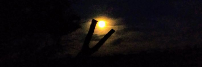 Ethandows's profile banner image