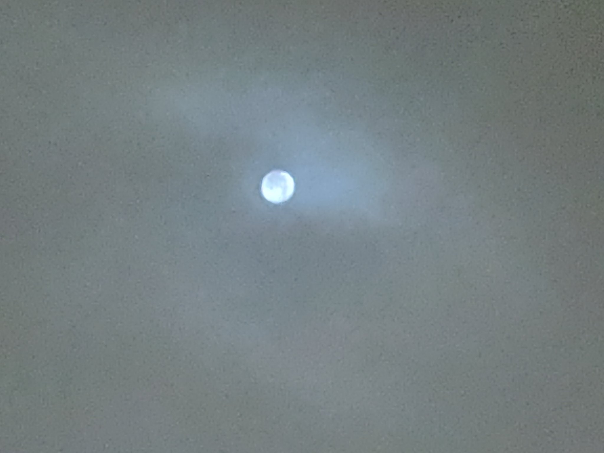 @mnitabach.bsky.social banner