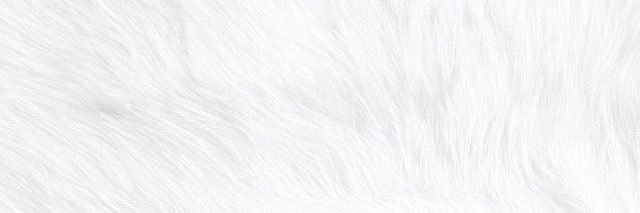 JeDonnini's profile banner image