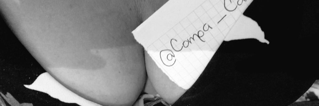 El cachorro del amor banner