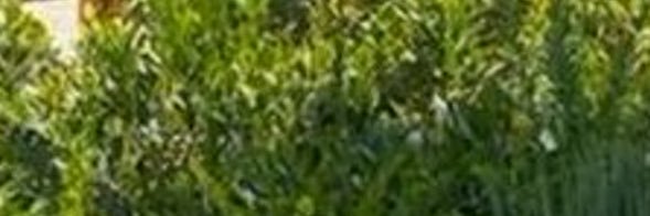 FNHiF_y's profile banner image