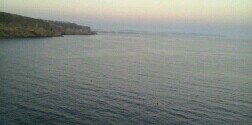 Silvia Aguilar banner