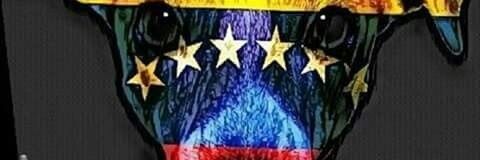 pilonefranz's profile banner image