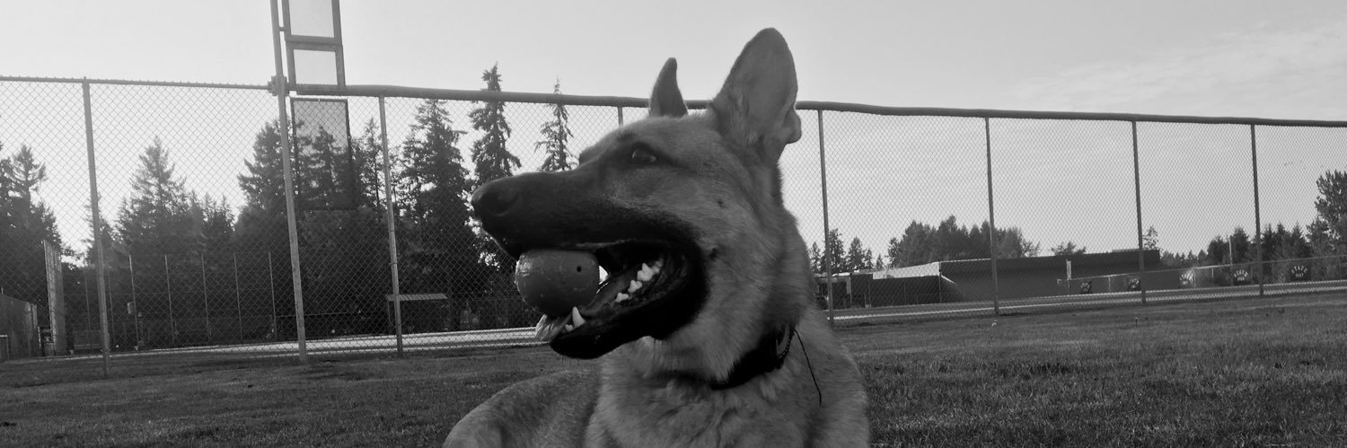 lisadiana224's profile banner image