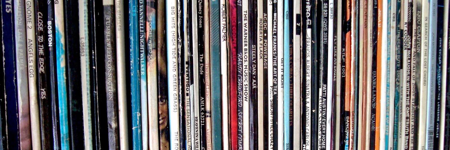 shinylvinyl's profile banner image