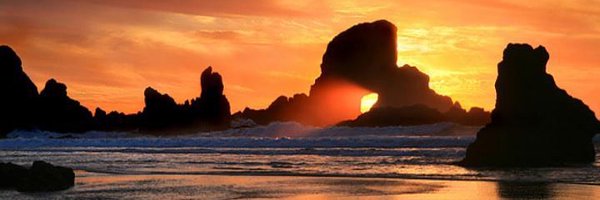 srdill Profile Banner