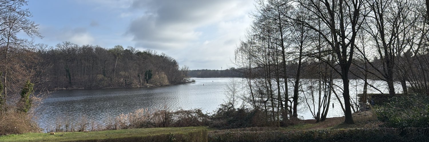 Steffen Saebisch banner