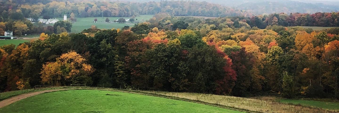 Tater Tot 🥔 banner