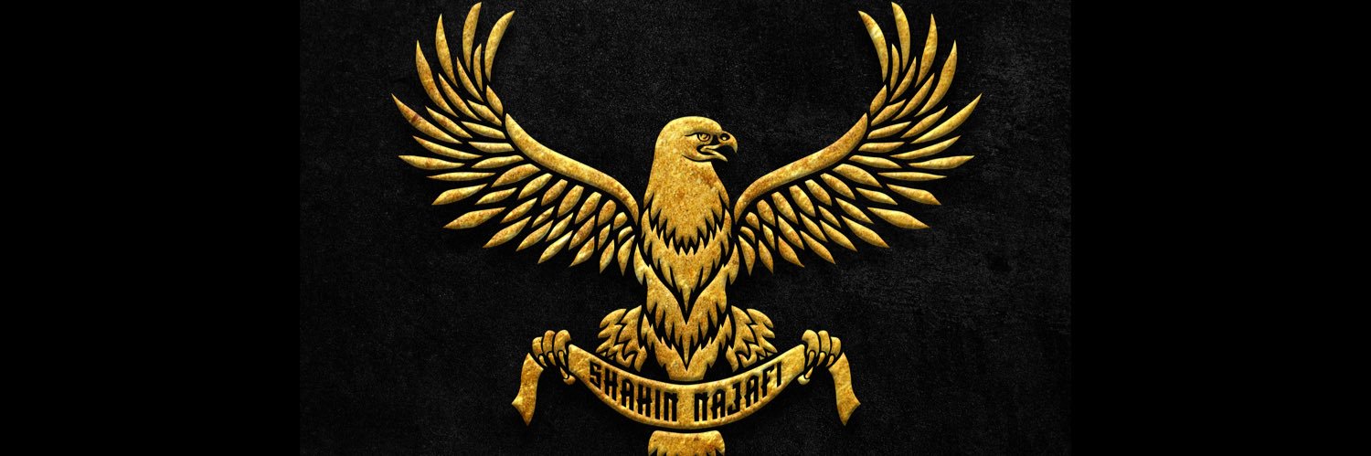 Shahin Najafi 𓃬☼'s banner