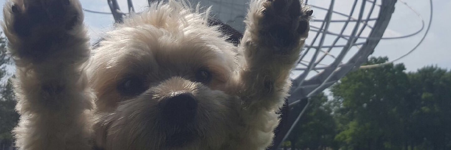 daannny9's profile banner image