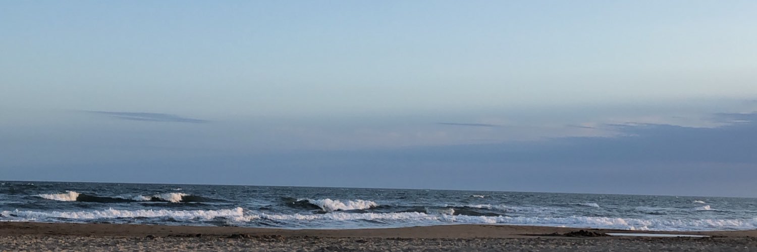 angieveglio's profile banner image