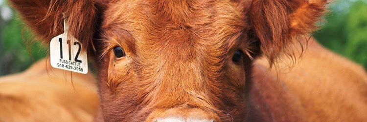 AustynFuss's profile banner image