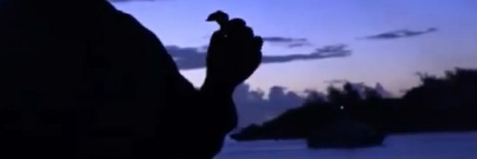 weilighmal's profile banner image