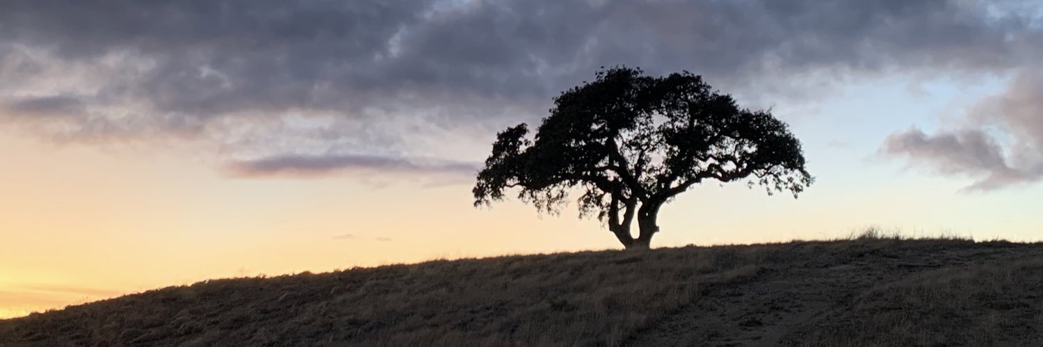 iamashm's profile banner image