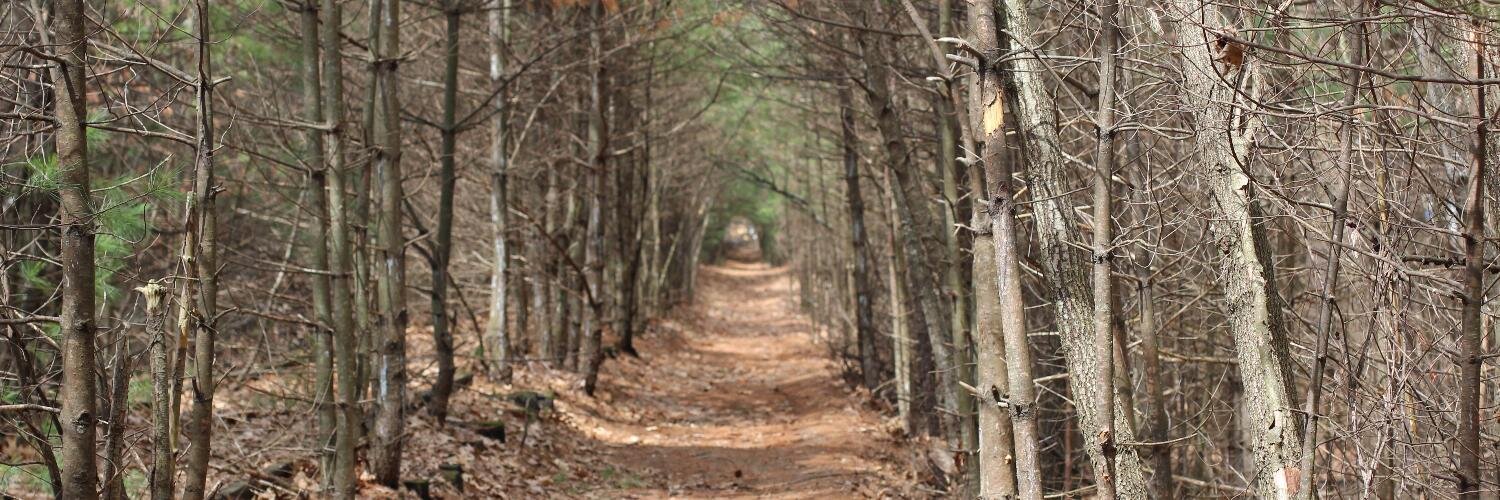billflu's profile banner image