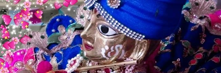 Anamika Soni's banner
