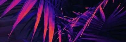biancaels13's profile banner image
