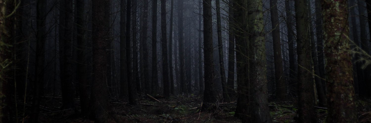 AaronMGDR's profile banner image