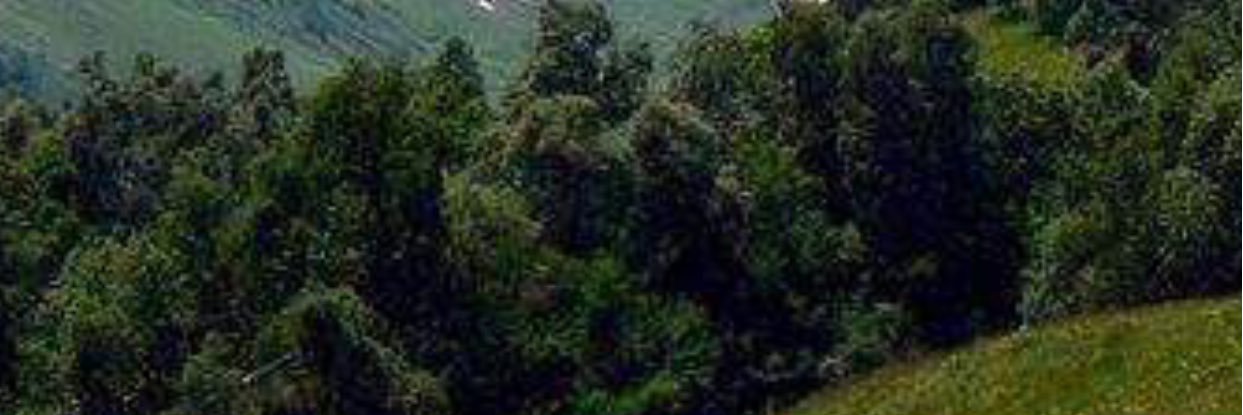fgfgdz's profile banner image