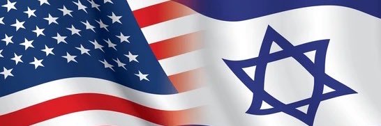 Lizzy Savetsky's banner