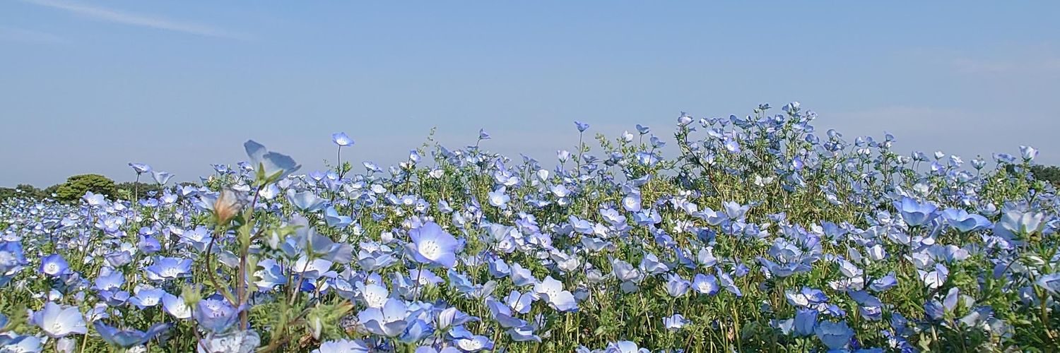 玲音 banner