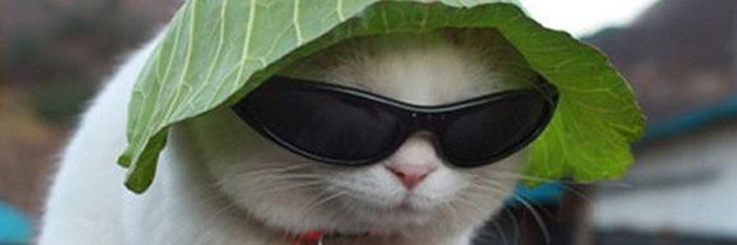Leinn74's profile banner image