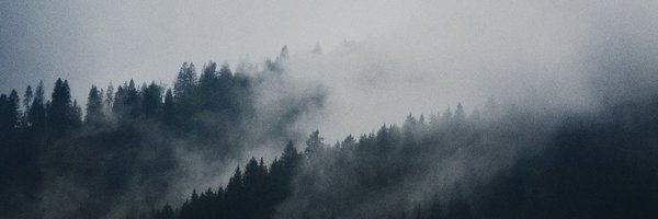 lli_donotpanic Profile Banner