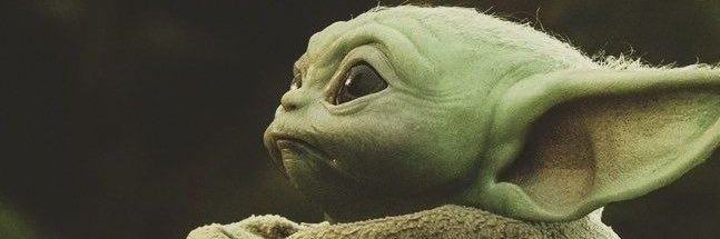 flavinhopassos's profile banner image