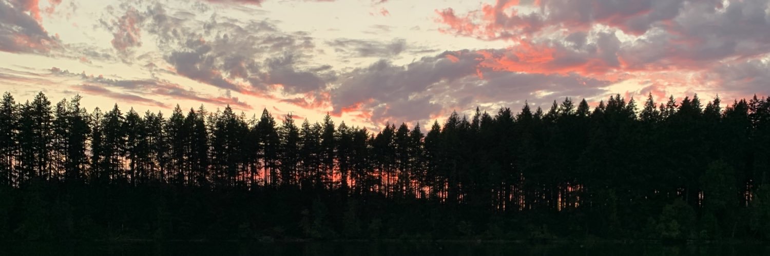 zoefinkel's profile banner image