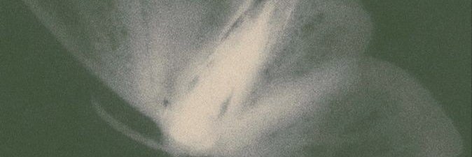 mariieke ✶ banner