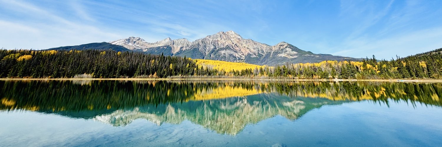 Dezene Huber 🌻 banner