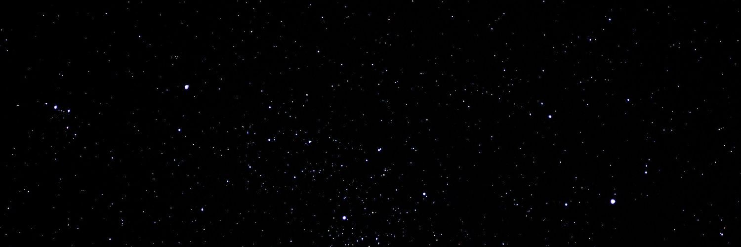 ZosteropsParus's profile banner image
