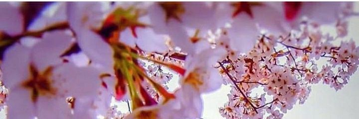 conex94's profile banner image