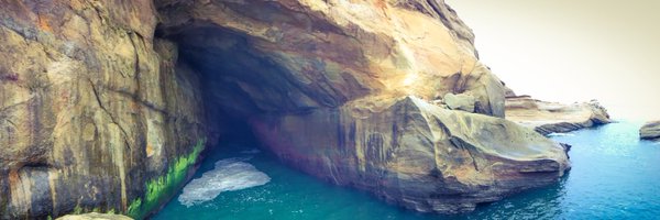 LotusStyle Profile Banner